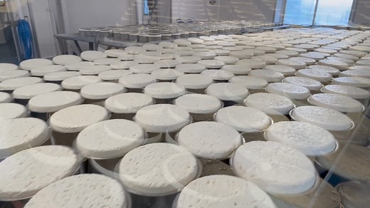🧀 Découvrez le Roquefort Le Vieux Berger de la Maison COMBES, labellisée EPV 🧀 Depuis 1923, cette entreprise familiale perpétue un savoir-faire artisanal unique. Visites et dégustations disponibles toute l'année, du lundi au vendredi. | Voyage Occitanie