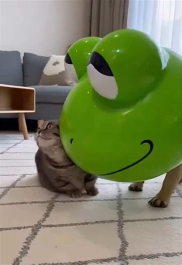 He just wants to play… but the cute-scary mask makes the cat RUN 😭😂 Plot twist: he puts on a Frenchie mask and gets CAT-SLAPPED 🐾💀 #c#catf#frenchbulldogp#petprankp#petreactionfunnypets