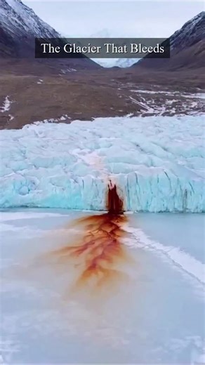 Blood Falls: Why This Antarctic Glacier Looks Like It's Bleeding. #usa #facts #reels #history #viral