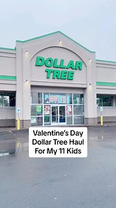 426K views · 7.3K reactions |  VALENTINE’S DAY DOLLAR TREE HAUL Shop With Me at the Dollar Tree for some Valentine’s Day goodies for the kids and their teachers! I can’t wait to make up their Valentine’s Day Buckets.殺#DoughertyDozen #ShopWithMe #DollarTreeHaul #ValentinesDay #HappyValentinesDay #ValentinesDayBuckets #TeacherGifts | Dougherty Dozen | Facebook