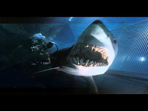 Deep Blue Sea (1999) Theme