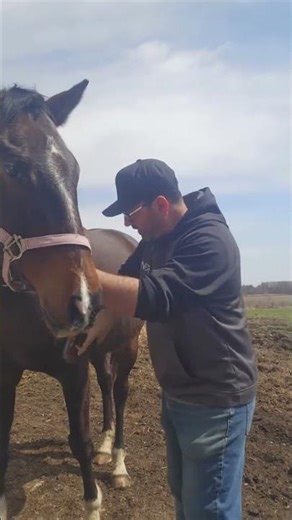 How to get to seven figures as a contractor Download the free ebook in the bio "How to Master