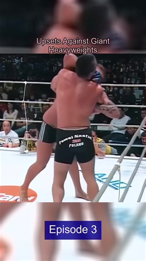 Alexander Emelianenko: MMA Heavyweight Legend