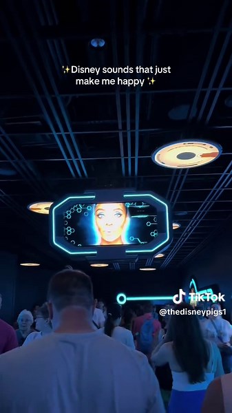 TheDisneyPigs on TikTok