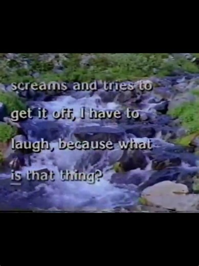 s16e18 4/20/91 Host Steven Seagal #snlclassic #snl #saturdaynightlive | Steven Seagal