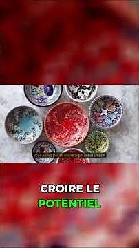 Transformez votre jardin sans budget? 10 DIY simples!