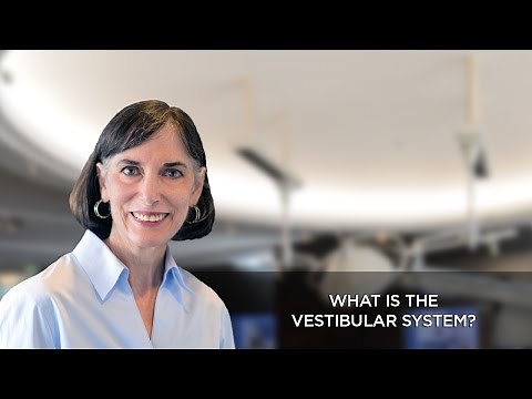 What is the Vestibular System?