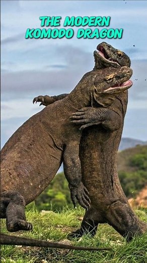 The Evolution of Today’s Animals #Evolution #Animals #History