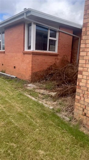 1K views · 24 reactions | Big Job but an amazing Job. Before and After video loading now 酪酪酪酪 | Bearded Bros Gardening and Maintenance Services | Facebook