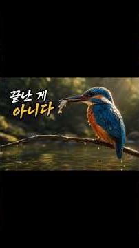 물총새 이야기 EP3잠시 숨을 고른다#물총새 #kingfisher #birdstory #wildlife #숲속작은이야기