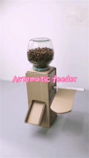 TikTok - Make Your Day