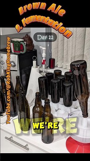 Brown Ale | Recipe Step By Step | Evaluation | Bottle & Keg Carbonation | Retrospective