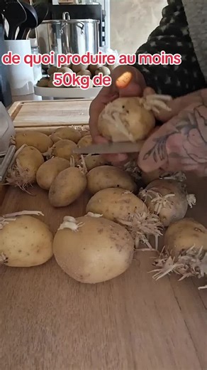 Produire une cinquantaine de kg de pommes de terre dans ton potager🥔 #patates #potager #jardin #horta #autonomieallimentaire @🇵🇹Retour aux sources🇫🇷