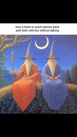 Wizzard on Instagram: "Sending memes back and forth without talking 👥 #shadowwizardmoneygang #wizardposting #wizardmemes"