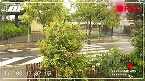 509K views · 4K reactions | An alleged predator has been arrested by police after they raided his home south of Brisbane and found a collage of child sex photos. Story: https://yhoo.it/2yDXIO9 #7News | 7NEWS Brisbane | Facebook