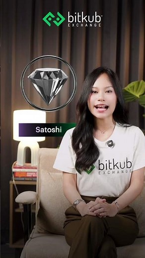 Getting to Know the Tier System and How to Use KUB Gems on Bitkub Privilege