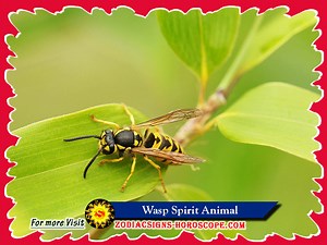 Wasp Spirit Animal: Meaning, Symbolism, Dream of the Wasp Totem