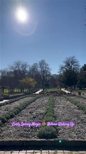 Goodbye Winter, Hello Spring 🌷✨