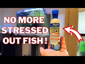 API Stress Coat Aquarium Water Conditioner (Honest Review)