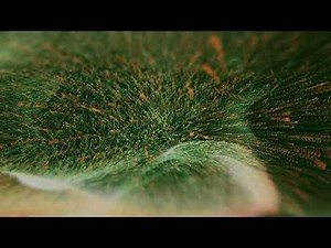 Audio Reactive Point Cloud - Touchdesigner