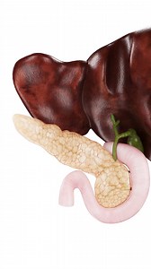 71K views · 912 reactions | Join us on a journey through the...