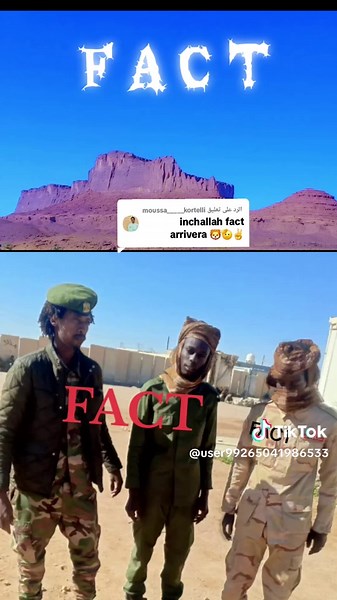 ردود على الحقائق في تشاد