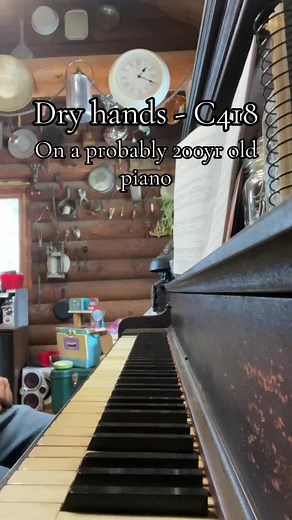 #minecraft #c418 #pianocover #minecraftmusic | dry hands c418