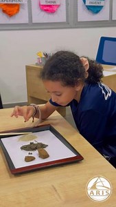 Year 3 礪 Eagles investigate the properties of different types of soil as part of their #UOI on settlements in their #STEM class. Soil types affect agriculture and construction. #ARIS #Ghana | Al-Rayan International School | Facebook