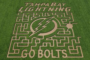 Lightning-Themed Corn Maze Debuts Soon