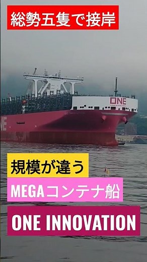 総勢五隻で接岸⚓規模が違うMEGAコンテナ船『ONE INNOVATION』
