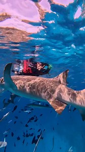 kita belanja sikit activity di maldives.. nak sy share detail trip kos x sampai 10k seorang 6H5M termasuk menginap di private island (hard rock) 2malam.. | Jamil Baharom