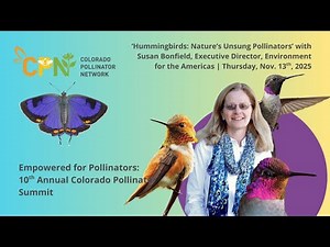 Hummingbirds: Nature’s Unsung Pollinators with Susan Bonfield, Environment for the Americas
