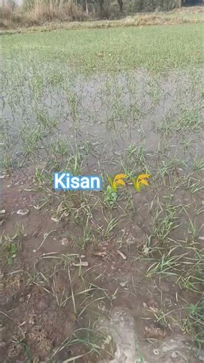 anndata #food #kisan