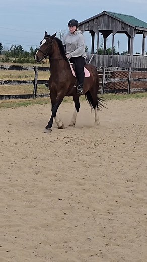 Where do you ride? Grass arena? Sand arena? Trails? #horseriding | DaybyDay Vlogs