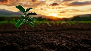 New Beginnings Sunrise Images – Browse 131,476 Stock Photos, Vectors, and Video