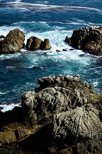 Point Lobos State Marine Conservation Area in Carmel-By-The-Sea in...