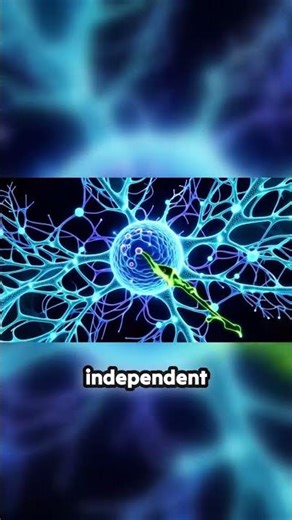 How APC Gene Mutations Help Cancer Hide