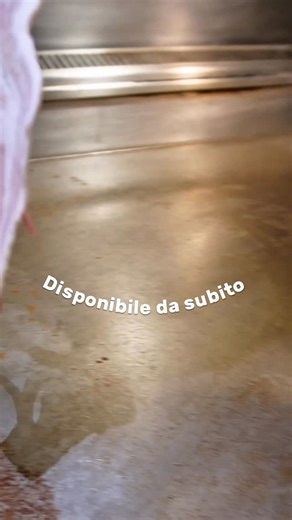 1.1K views · 55 reactions |  Pronti per l’esplosivo panino di Natale?  Quest’anno il Natale arriva al TNT Pub con un panino che farà scintille!  Non vediamo l’ora di farvelo assaporare… preparatevi a un’esplosione di sapori! #trieste #paninodinatale #tntpub | Tnt Pub | Facebook