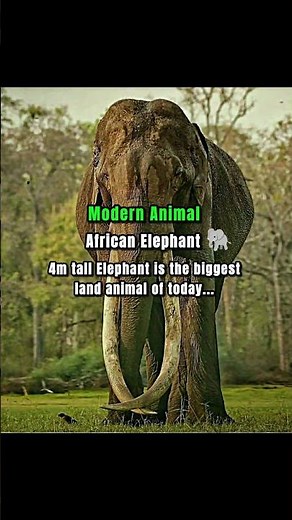 The Giant Prehistoric Ancestors You Never Knew About 💀