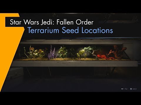 Star Wars Jedi: Fallen Order - Fully Grown Terrarium: All Seed Locations (Green Thumb)