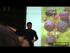 James Wong about the black raspberry Black Jewel