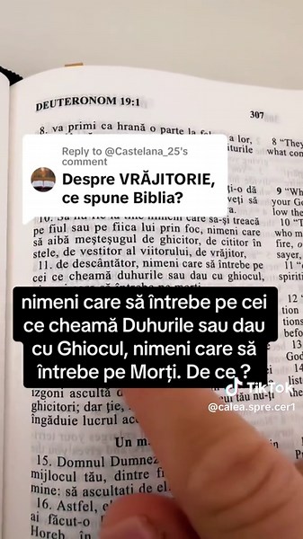 Exploring Zodiac Signs Through Astrology Insights