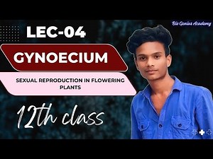Gynoecium of Sexual reproduction in flowering plants Lec-04