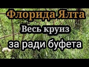 Florida Yalta. Why take a cruise if it's difficult to get around the cities?