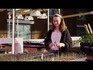 Loyola Chicago | Sustainability