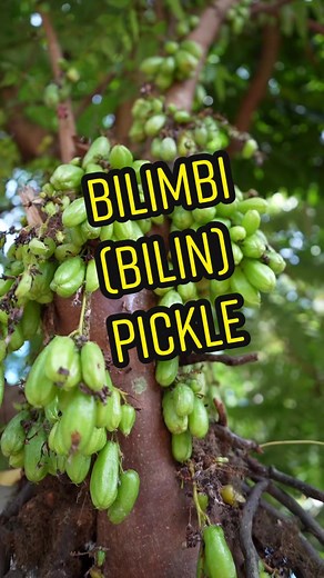 Identifying the Name of this Unique Fruit in Different Languages