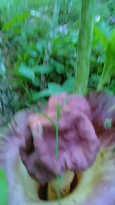 Basta pobre nga taga-bukid sa sapa gyud na magpabugnaw, dili sa mga mall kay mahal! HAHAHAHA | Unofficial: Angelo