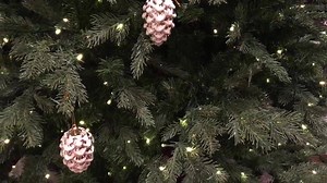 24K views · 465 reactions | What is happening here?! 樂 | Lisa Robertson | Facebook