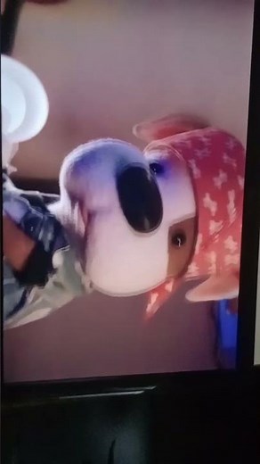 #gloobinho #bookaboo