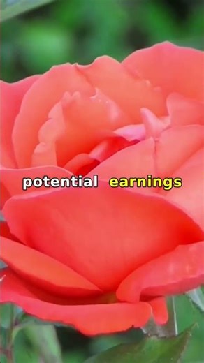 Slugs Have 4 Noses! 🐌💰 How to Monetize Unique Facts